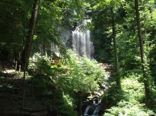 2014-07-29 11.23.18.jpg