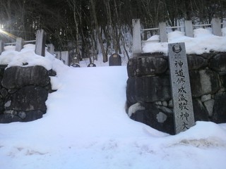 P1010250.jpg